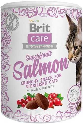 Brit Care Superfruits Salmon 21шт