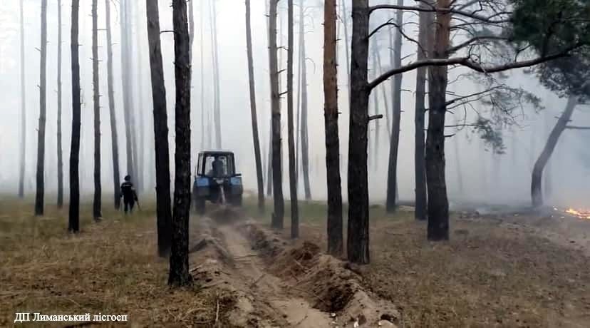 Лісовий плуг ПЛ-75-15М до трактора для нерозкорчованих вирубок!