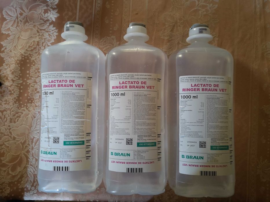 Comida Gatos - Renal pack