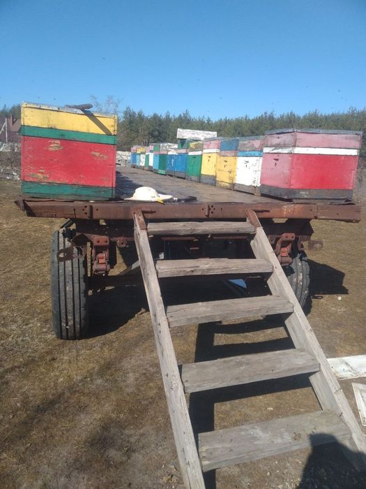 Продам мобільну пасіку