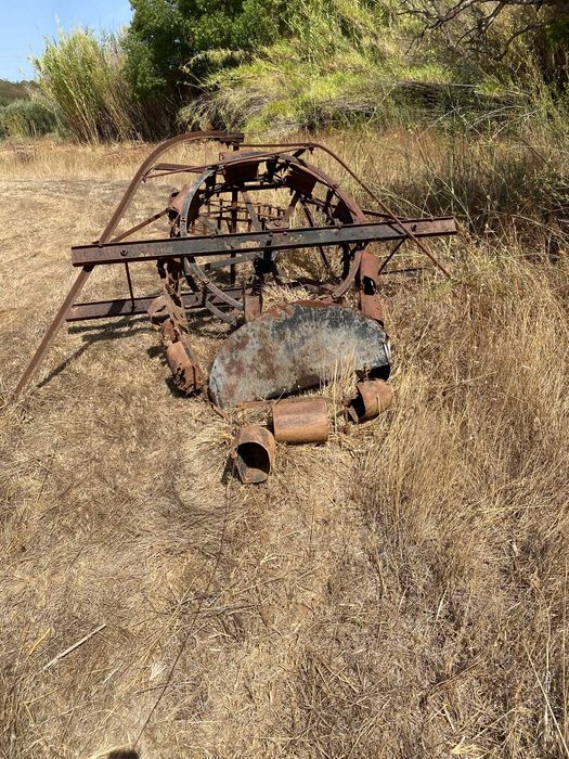 Engenho Nora - Poço - Decorativo