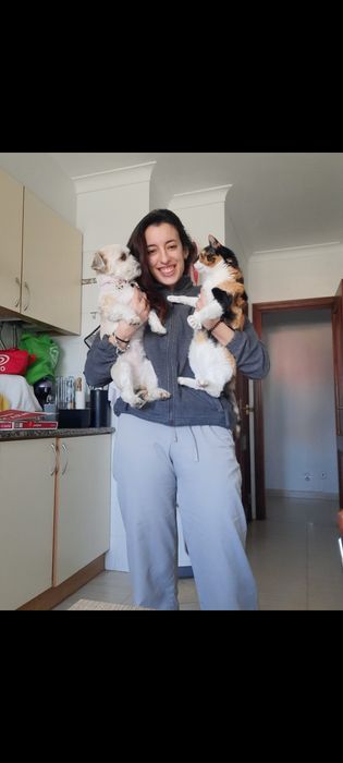 Petssiting , Dogwalking e serviço de enfermagem