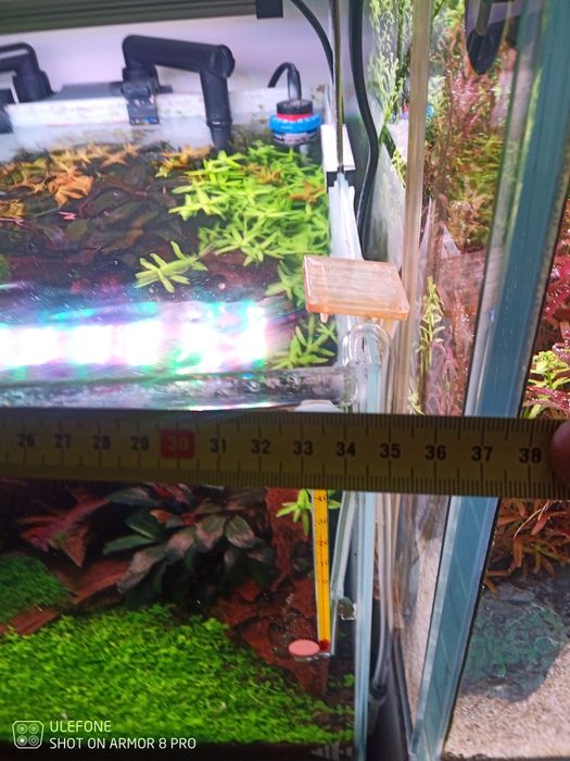 Móvel e aquário 35x35x30, completo