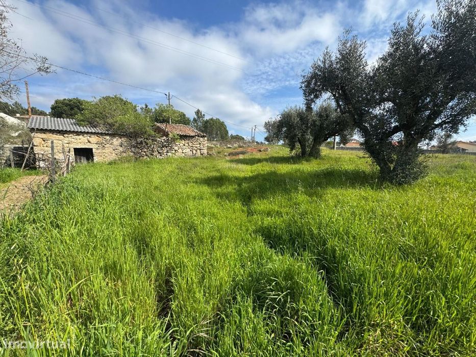Terreno em Abrunhosa do Mato | 1232 m2 de Tranquilidade