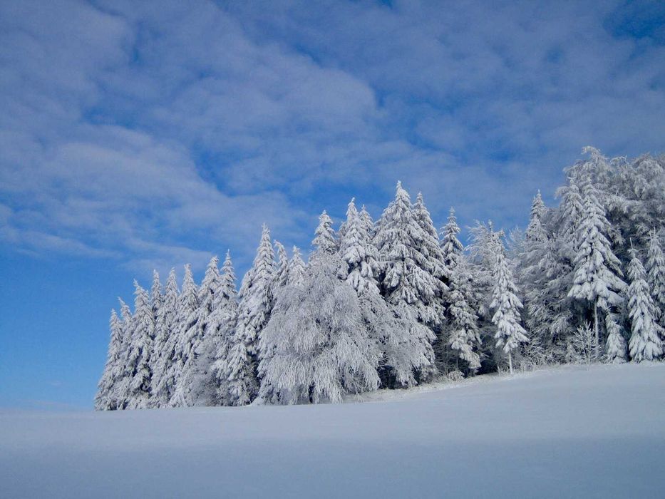 Canon IXUS 40 Aparat cyfrowy zestaw /digital camera retro cybershot