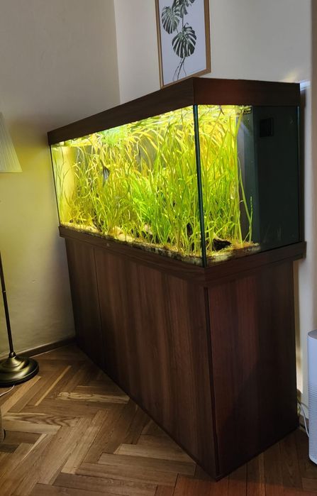 Akwarium JUWEL Rio 450 l  ciemne drewno