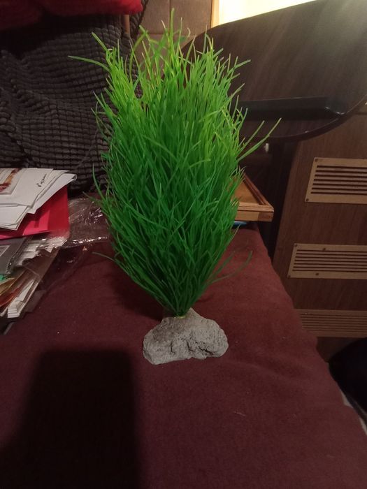 Декор для аквариума