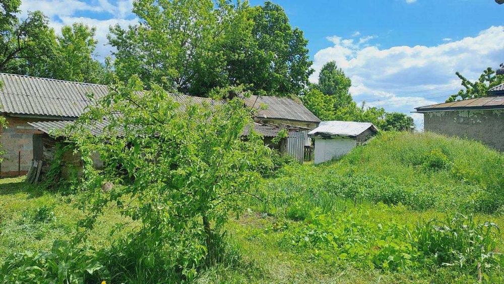 Продається  будинок село Курінь, Чернігівська область