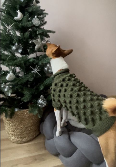 Hunting pony вʼязаний светр для собак