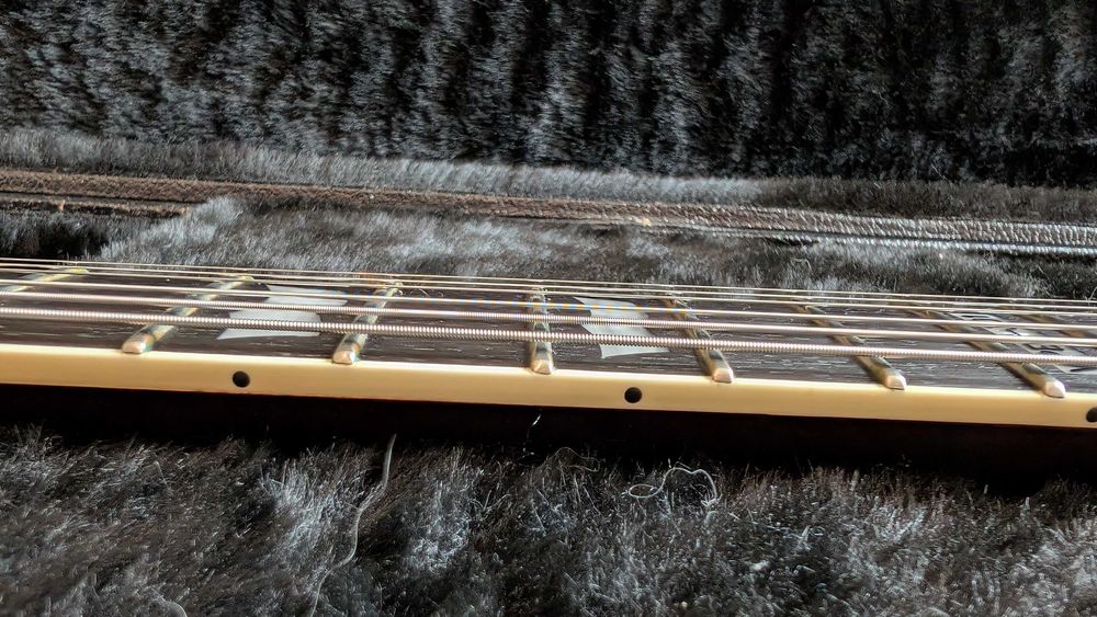 ESP LTD Viper 301 + case ESP