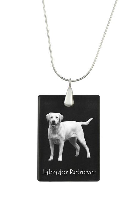 Labrador Retriever I naszyjnik kryształowy z psem Art-Dog
