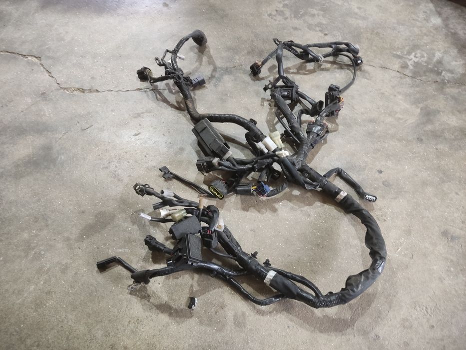 Cabelagem chicote...MT 07