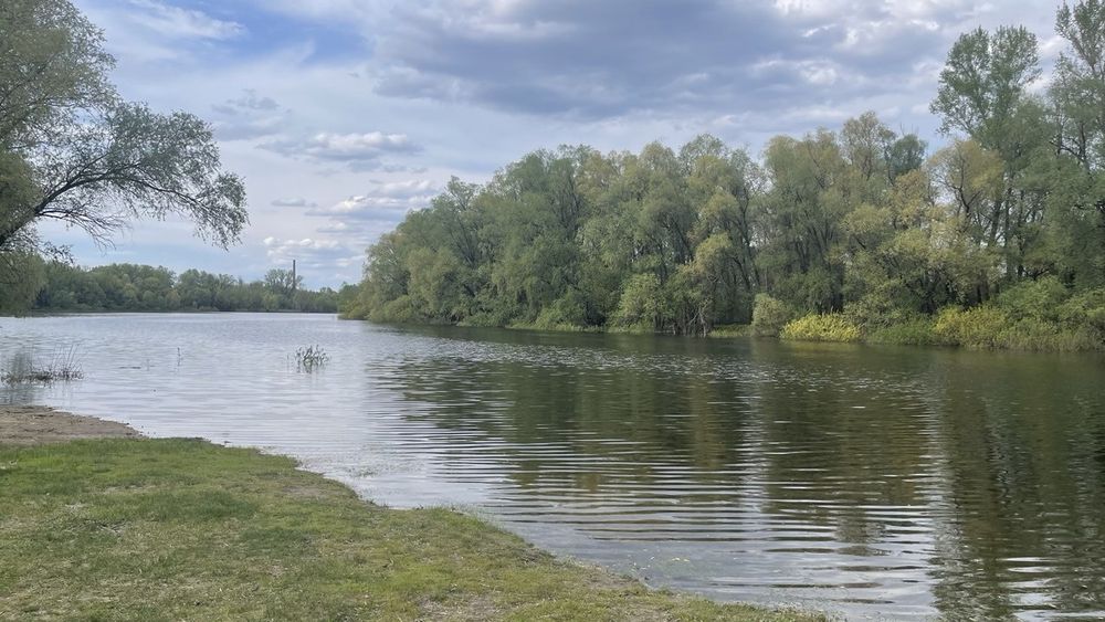 Продам дачу в Жавінці