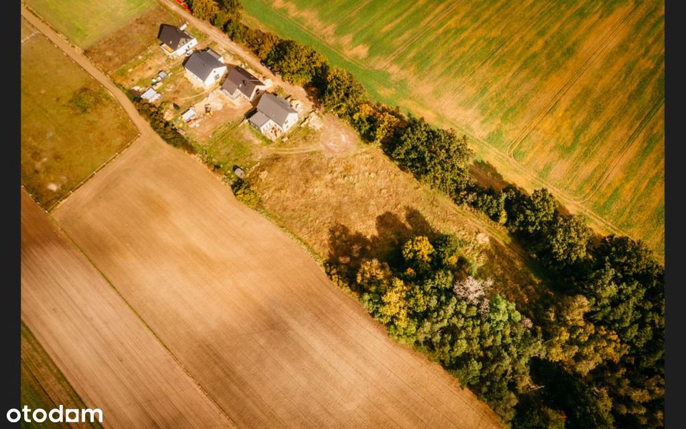 Piękna działka z lasem