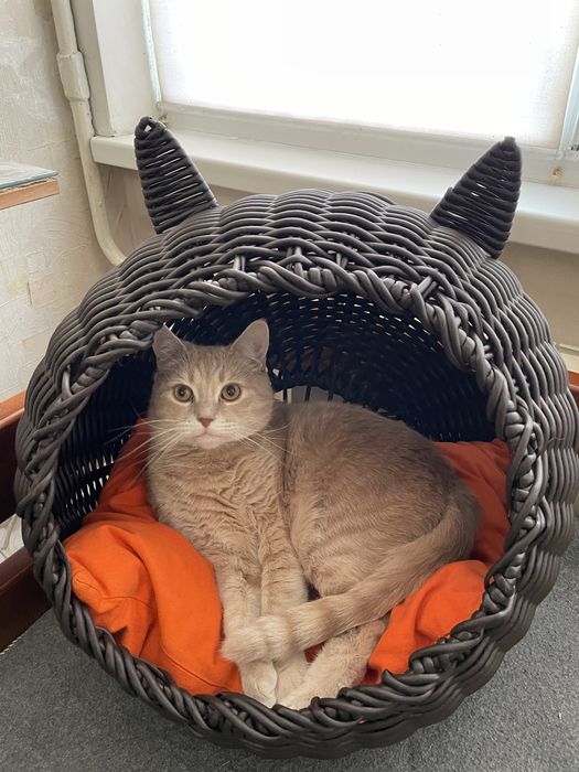 Акція!!! Котобудинок з ротангу. Дім для котиків. Лежанка