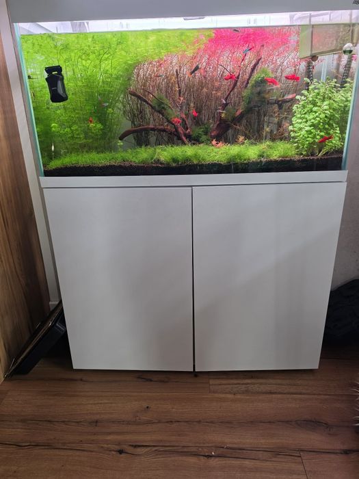 Zestaw akwarium 200L optiset +szafka+obsada