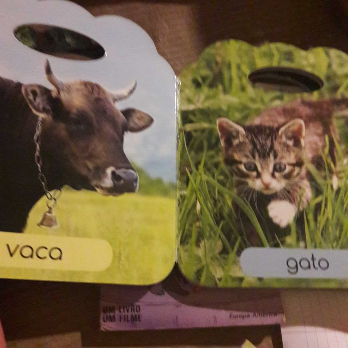 Os amigos animais da quinta raro formato livro infantil