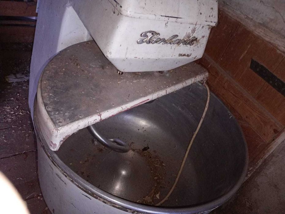 Тестомишилка догорная