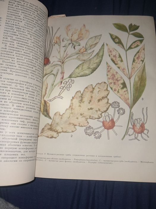 Книга" Мир растений "1991 року