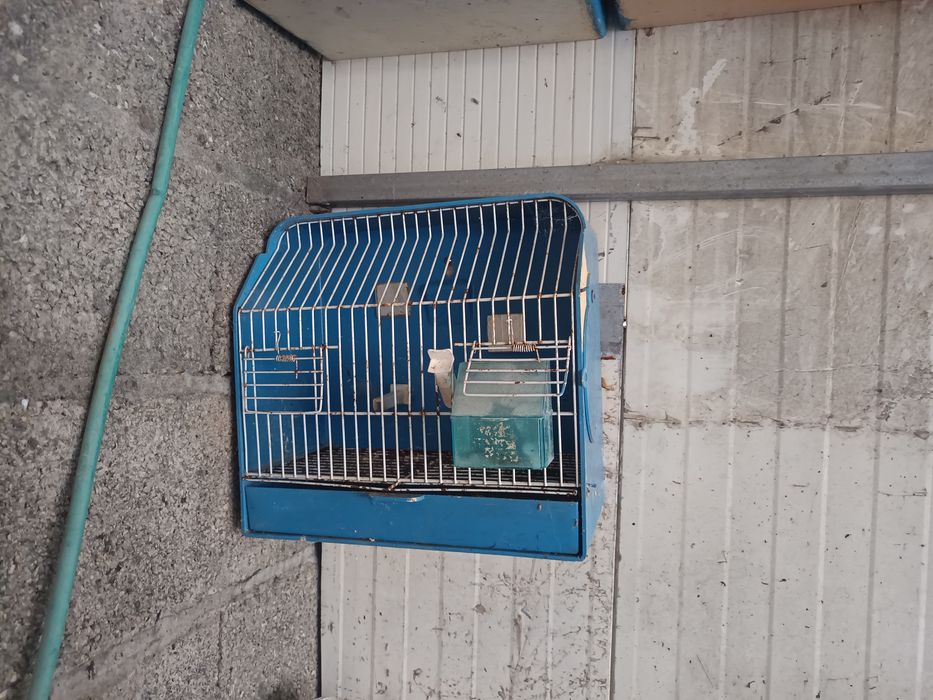 Gaiolas de exposição