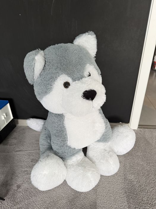 Sprzedam dużego 70cm  miękkiego, pluszowego pieska rasy Husky marki Smiki