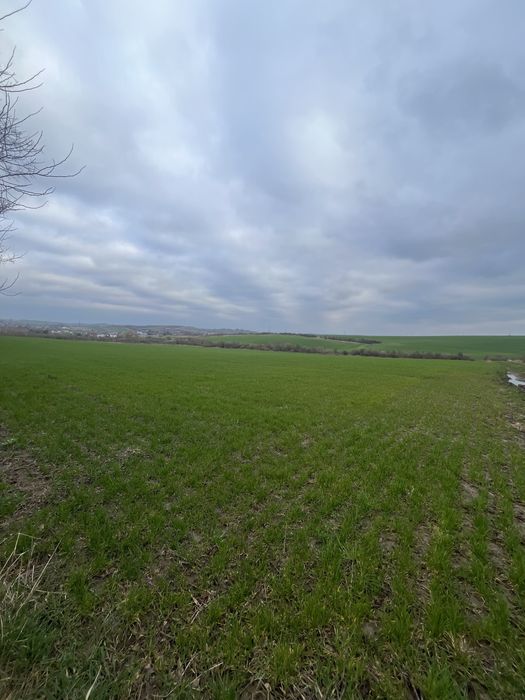 Продаж земельної ділянки в м. Мостиська