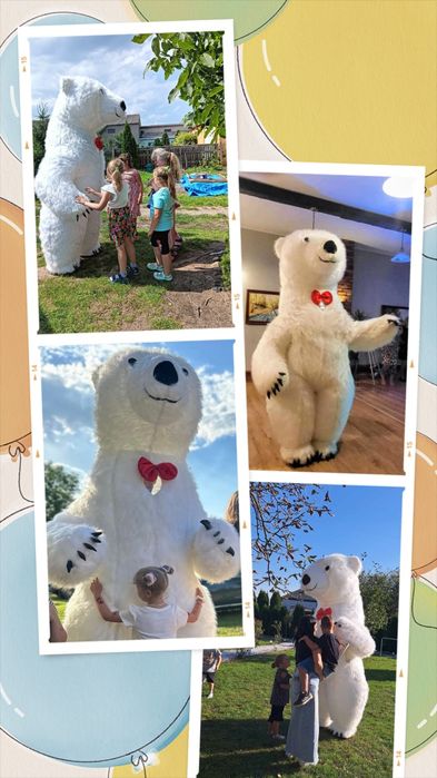 Biały Miś na Twoją Imprezę !