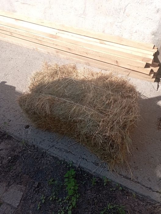 Солома пшеничная, ячневая свежий укос 2025 г