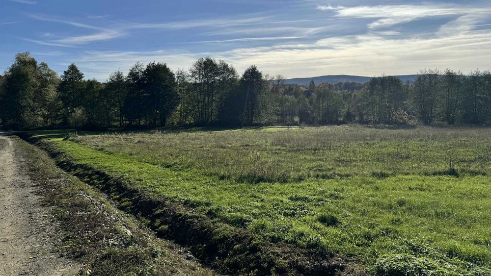 Atrakcyjna działka 423/1– 15 arów – dom + działalność w jednym miejscu