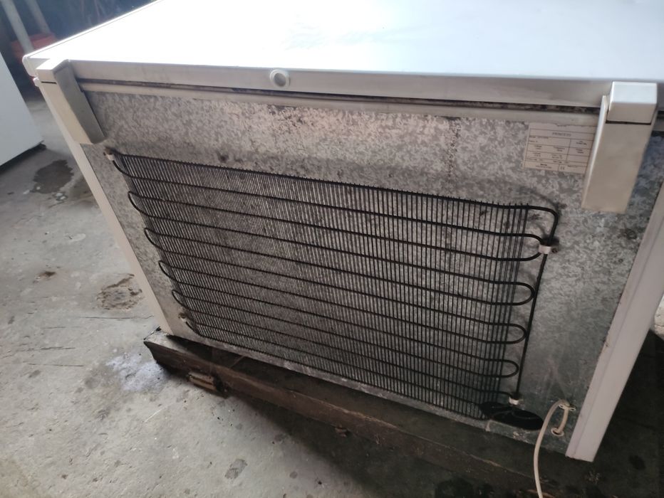 Arca congeladora Princess