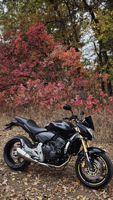 Honda Hornet cb600f