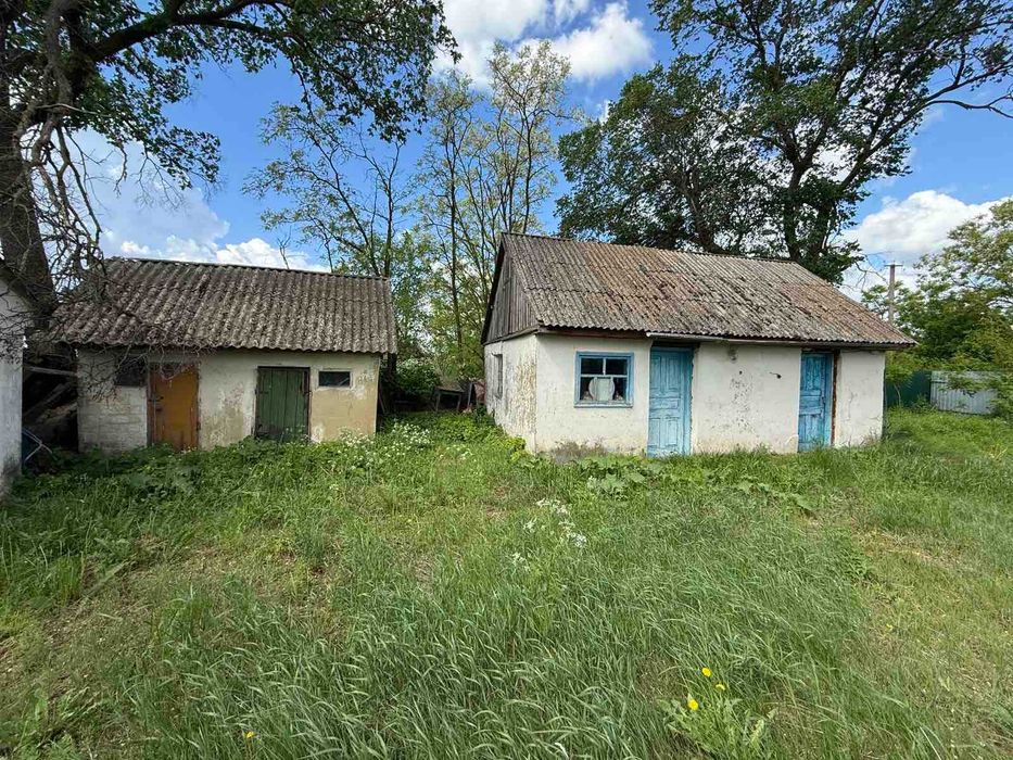 Продам будинок 42,2 кв.м. та ділянка 10 соток, с. Біляки (23000у.е.)