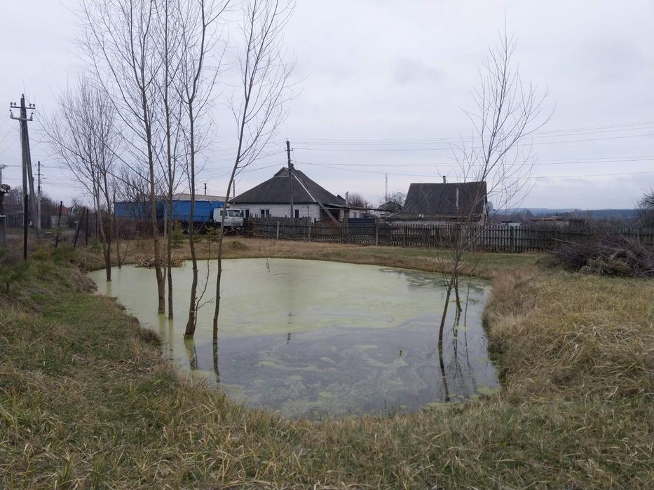 Домик в деревне у леса - с печкой, газом, бесперебойником!