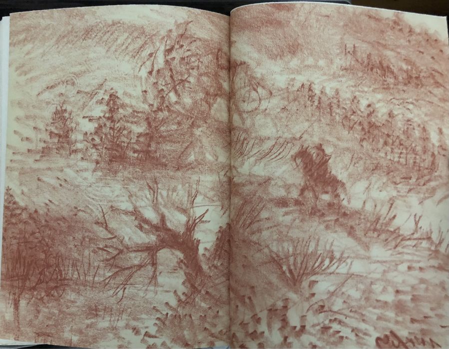 Ferreira de Castro “terra fria”