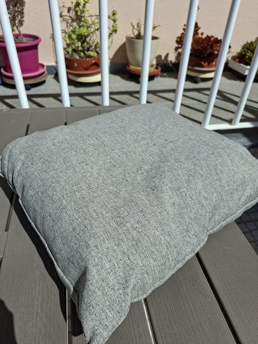 Caminha/casa para gato