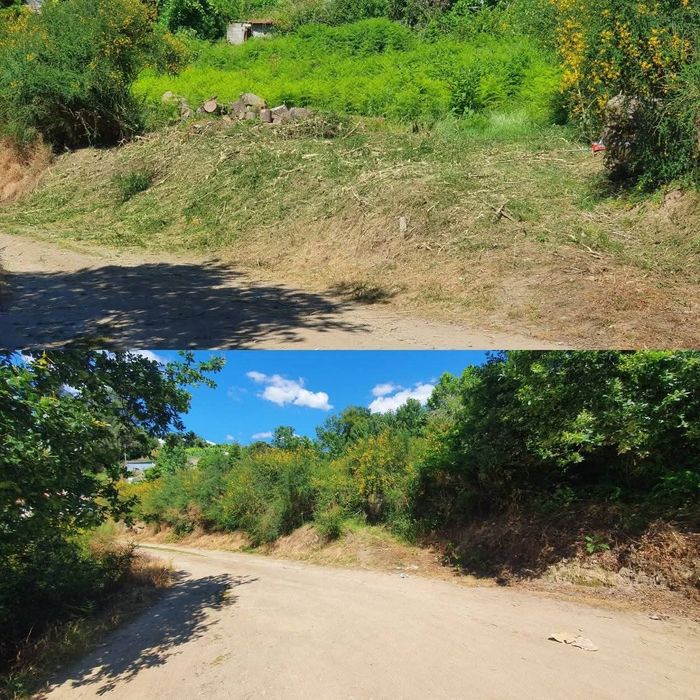 Limpezas de terrenos