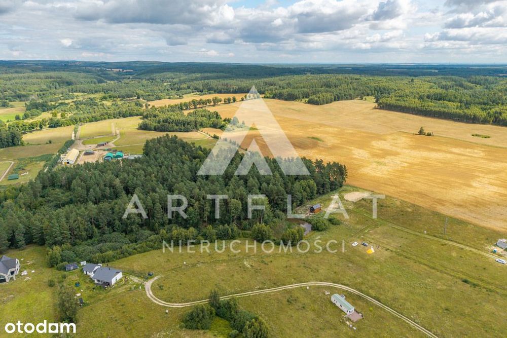 MPZP, las i staw , Szczodrowo - Widok 3