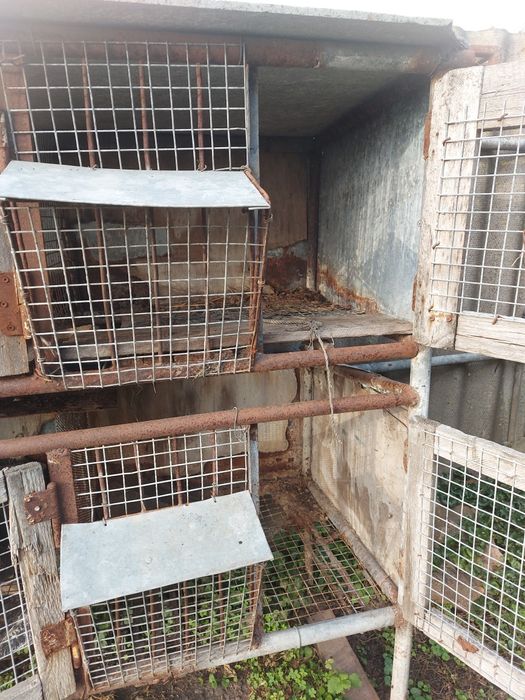 Клітки для кроликів / нутрій