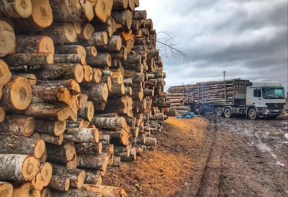 Продаємо дрова дуб. Щільне складання. Без повітря в кузові. 5-13 м3
