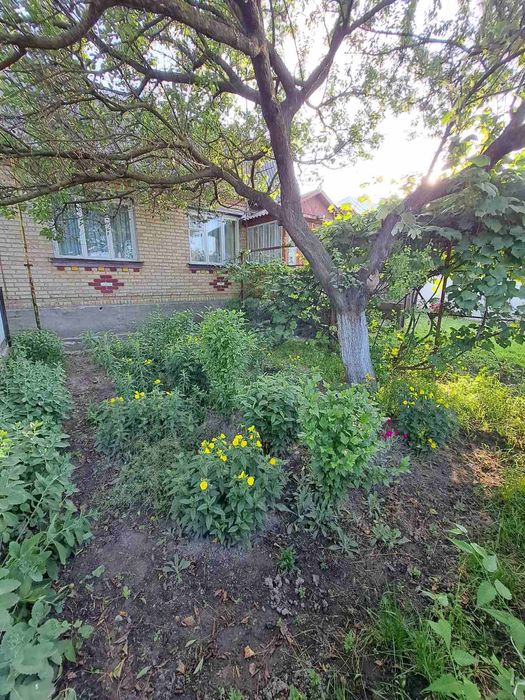 Продаж будинку м Радомишль