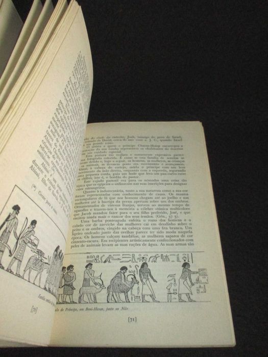 Livro A Bíblia Tinha Razão Werner Keller