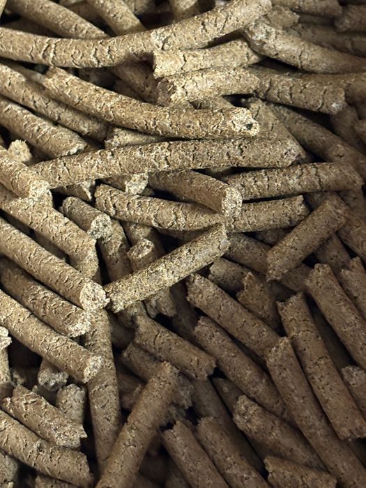 Makuch słonecznik len czarnuszka rzepak konopie sezam maka ostropest