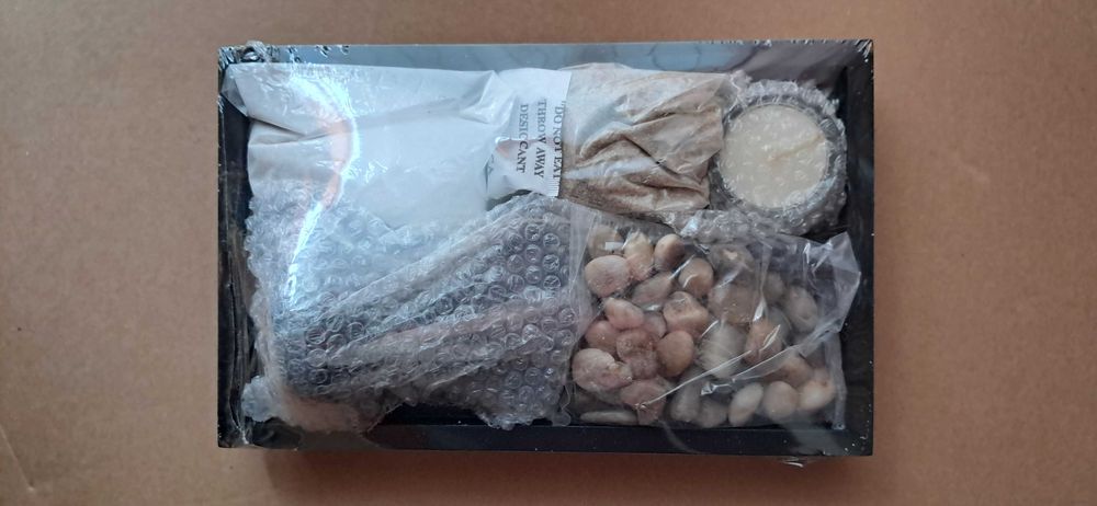 Jardim Zen (Loja Natura)