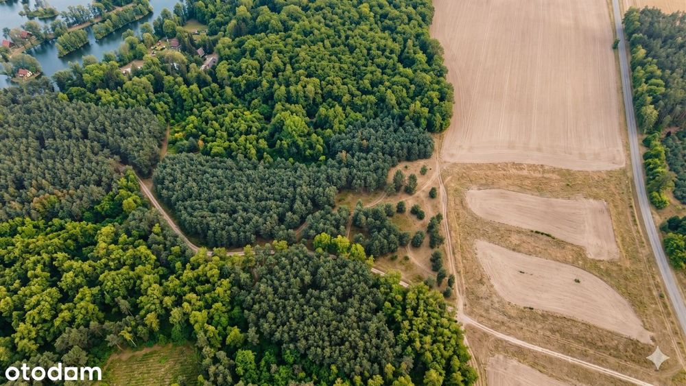 Działki rekreacyjne w lesie, na weekendowy odpoczynek-Dolnośląskie! - Więcej