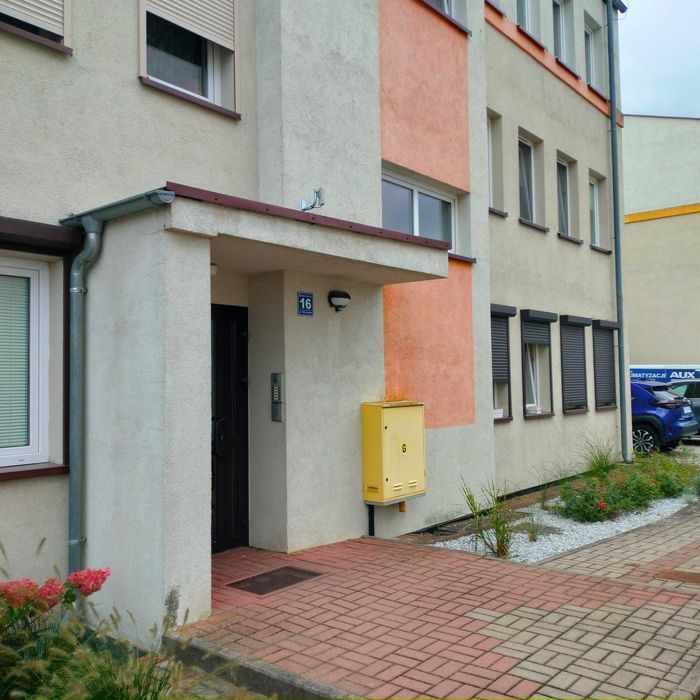 Zdjęcie 8