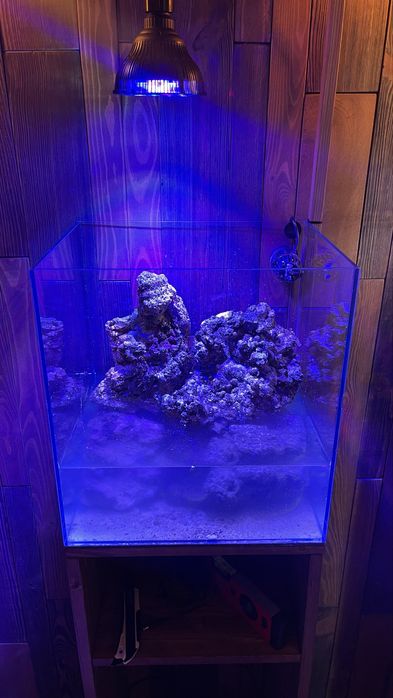 Живой камень для морского аквариума