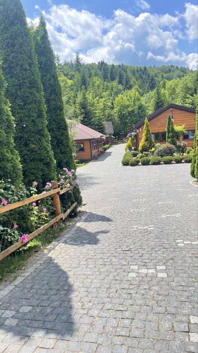Будиночок в Карпатах ,біля лісу
