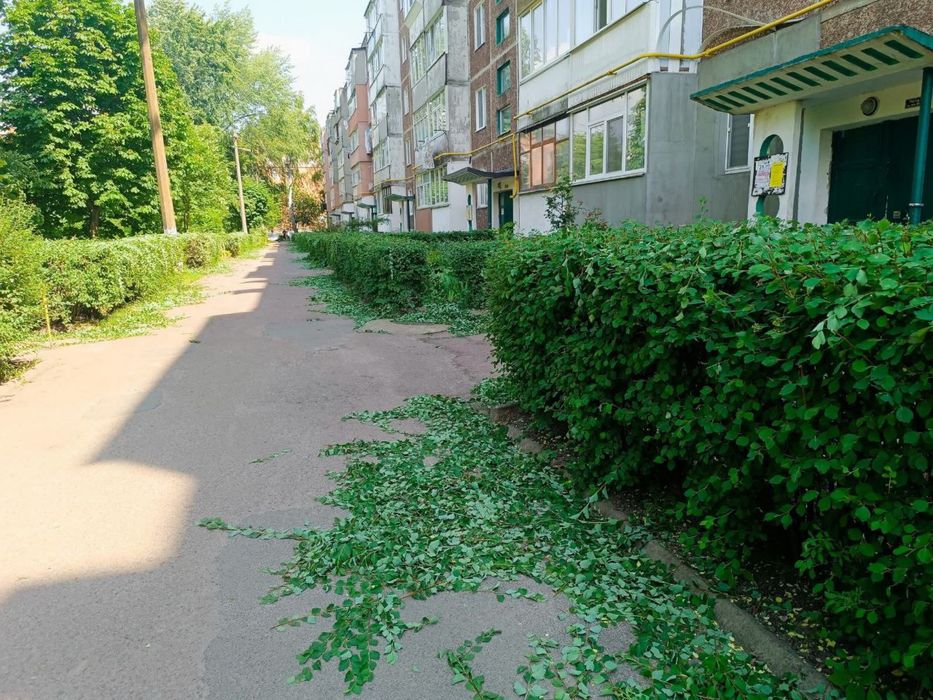 Видалення дерев,підрізання,благоустрій.