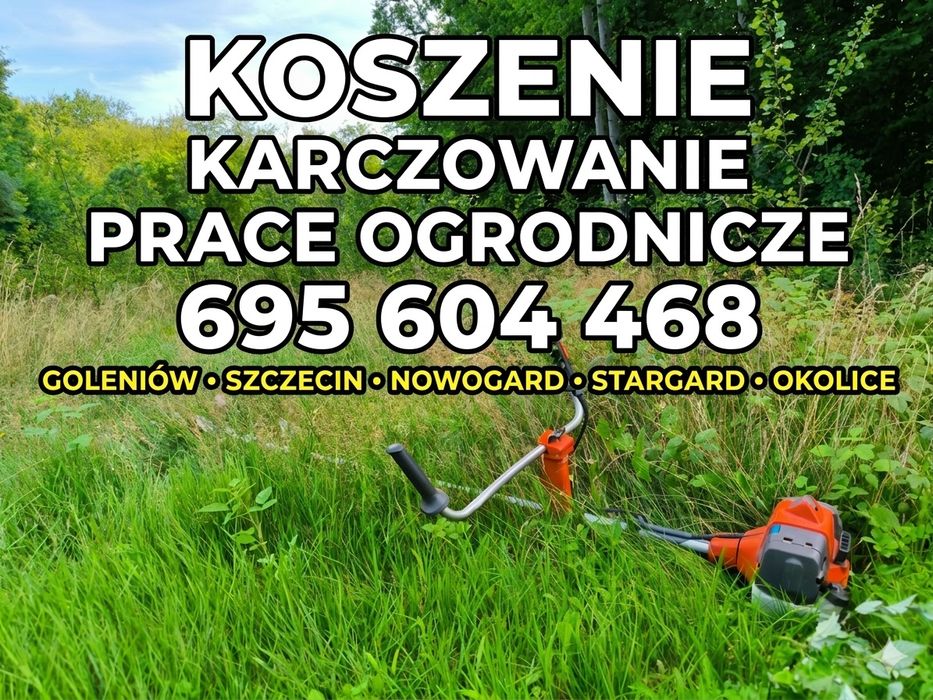 Koszenie, karczowanie działek, wertykulcja, prace ogrodnicze, żywopłot