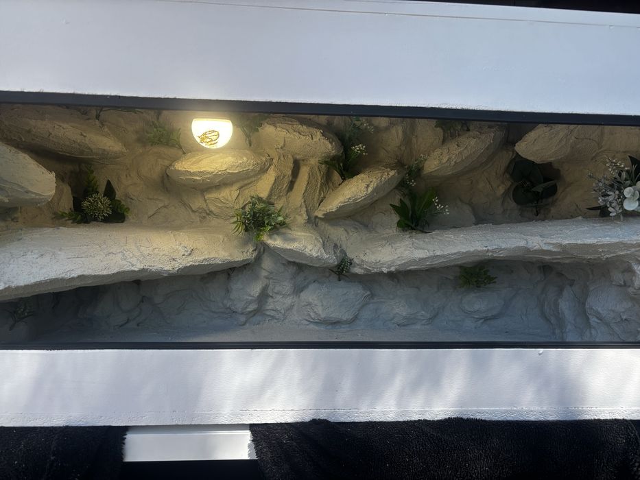 Terrarium dla agamy brodatej